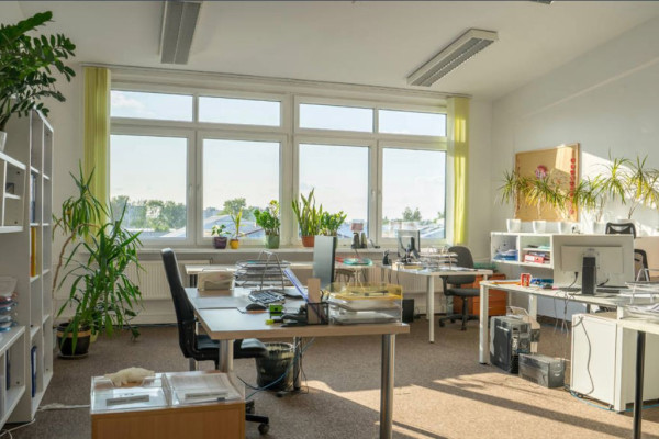 Complex of warehouse, industrial and office buildings in Lublin (Poland) for sale